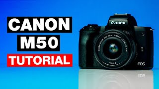 Canon M50 Video Test 4K and Slow Motion [upl. by Assiram]