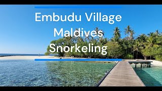 Embudu Village Maldives House Reef Snorkeling [upl. by Llen]