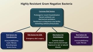 Antibiotics for Gram Negative Infections Antibiotics  Lecture 5 [upl. by Aromas]