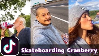 Skateboarding Drinking Cranberry Juice Dreams  Fleetwood Mac  TikTok Compilation [upl. by Tsenrae]