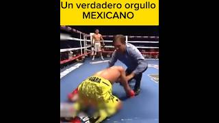 Boxeo ¡Corazón de Campeón César Juárez noquea a Albert Pagara en una pelea inolvidable boxeo ia [upl. by Rogers593]