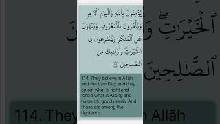 Quran  Surah AlImran 03 Verse 114 Mahmoud Khalil AlHussary quran husary shorts recitation [upl. by Kikelia843]