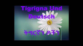 Eritrea Tigrigna Und Deutsch Informationen über Deutschland ሓበሬታታት ብዛዕባ ጀርመን [upl. by Pasquale]