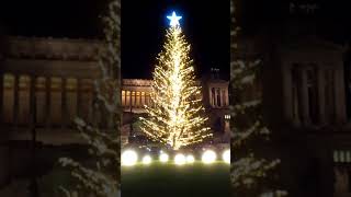 A🎄 Accensione quot Albero di Natale 2017 quot Roma piazza Venezia [upl. by Macmillan]