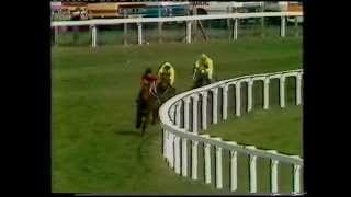 1984 Sandeman Aintree Hurdle [upl. by Siulesoj882]