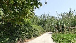 Ikaria The valley of Messaria [upl. by Elvis423]