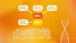 Introduction to Homologous Recombination Deficiency HRD assessment [upl. by Varuag727]