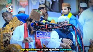 হঠাৎ মাহফিলে তাহেরি হুজুর  মুফতি গিয়াসউদ্দিন তাহেরী  Mufti Gias Uddin Taheri [upl. by Odraner95]