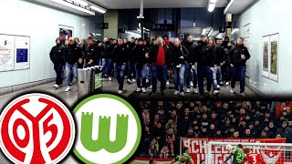 Neue Hools amp Ultras in Mainz Provokantes Spruchand Mainz vs Wolfsburg [upl. by Jemima]