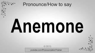 How to Pronounce Anemone [upl. by Other]