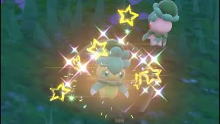 Shiny Fomantis In Pokémon Scarlet [upl. by Ssitruc]