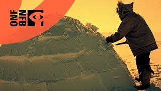 How to Build an Igloo [upl. by Aicenev]