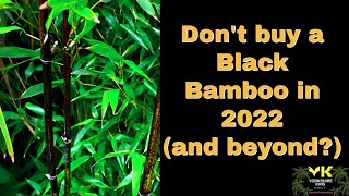 Dont buy a black bamboo in 2022 and beyond [upl. by Fidellas]