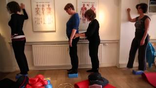 Nascholing over de Psoas met Liz Koch Akademie voor Massage en Beweging [upl. by Raf372]