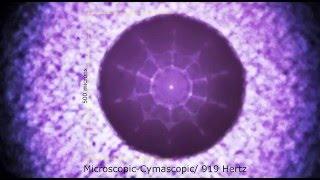 Micro cymatics experiment with a sonicallyexcited sessile water drop [upl. by Gussman521]