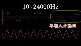 聽力測試，音響頻率響應測試音頻 10Hz24000Hz Sine Wave Sound Frequency Tone [upl. by Clower]