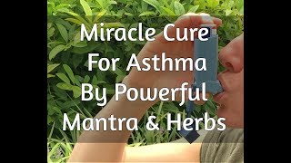 Learn How To Cure Your Asthma On Sharad Purnima  Sharad Purnima Puja Will Cure Asthmatic Bronchitis [upl. by Ahsienal]