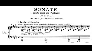 Beethoven Sonata quasi una fantasia No14 in C Minor quotMoonlightquot Lortie Jando [upl. by Randolf589]