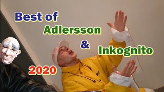 Best of Adlersson amp Inkognito 2020 [upl. by Anelec]