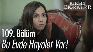 Bu evde hayalet var  Kırgın Çiçekler 109 Bölüm [upl. by Jodie251]