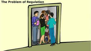 Osmoregulation and Excretion [upl. by Karena]