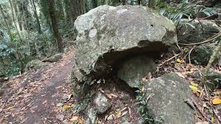 Dorrigo National Park Gondwana Rainforests [upl. by Annoiek]