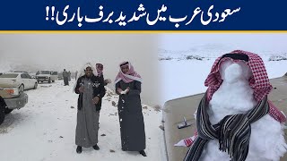 Heavy Snowfall In Saudi Arabia [upl. by Ettenahs]