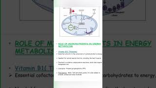 Role of Micronutrients in Energy Metabolismcoenzyme mcatbiology viral biochemistry vitamins [upl. by Suqram]