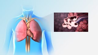 Pulmonary Rehabilitation  Nucleus Health [upl. by Rabma]