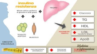 Insulino Resistenza che cosa è come si contrasta per evitare il diabete [upl. by Wilder]