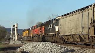 NS 174 mixed freight by N Rockwood main to main 33024 UP amp BNSF power in lash up [upl. by Ivets]