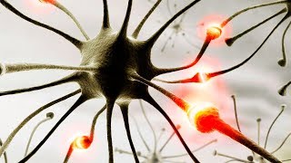 ⏱️ ¿Qué es la despolarización NEURONAL  En 1 minuto [upl. by Adnolohs849]