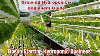 How To Start and Earn Money in Hydroponics Step by Step Guide [upl. by Lalita]