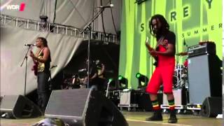 Raging Fyah quotjah gloryquot summer jam 2014 [upl. by Luis]