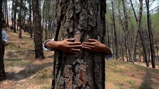 Journée mondiale de lEnvironnement des Népalais enlacent des arbres [upl. by Eldreeda]