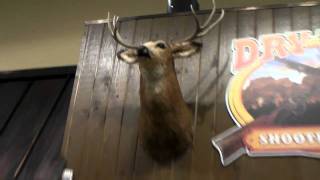 Talking Deer at Cabelas [upl. by Nettle]