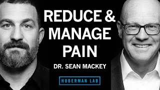 Dr Sean Mackey Tools to Reduce amp Manage Pain [upl. by Monah]