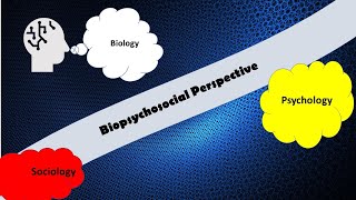 Biopsychosocial Perspective [upl. by Anilac]