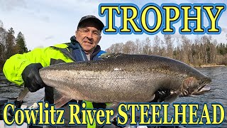 The Cowlitz River Gives Up A Monster STEELHEAD [upl. by Otanod150]