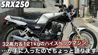 【SRX250】という珍車が入ったので紹介します [upl. by Odnalro95]