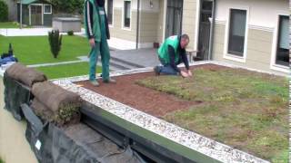 ArchiGreen® Ltd  Building an extensive green roof in a couple of hours [upl. by Ynohta528]