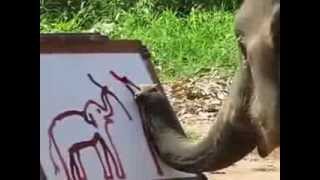 An elephant paints a selfportrait with his trunk [upl. by Maddie]