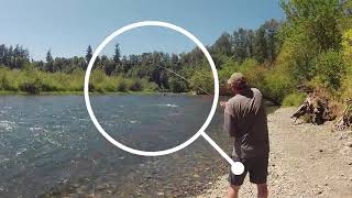 Cowlitz river blue creek summer steelhead [upl. by Karlyn42]