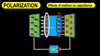 Dielectric polarization  Dielectric polarization animation  Polarization of dielectric slab [upl. by Dar]