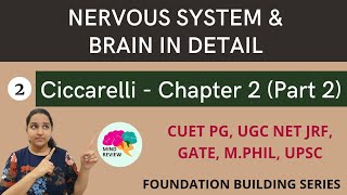 Ciccarelli Chapter 2  Part 2  Nervous System and Brain in Detail  Mind Review [upl. by Natsrik]