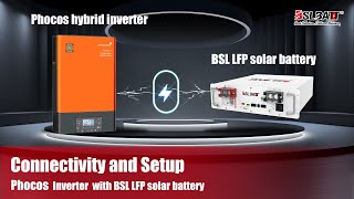 How to Connect your BSLBATT 48V Battery to Phocos Any Grid Hybrid Inverter [upl. by Rona]