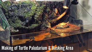 Making of Turtle Paludarium amp Basking Area [upl. by Dorian]