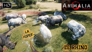 ANIMALIA SURVIVAL GAMEPLAY 6 LE RHINOCÉROS DAFRIQUE  LA FORCE ANIMALE [upl. by Sumetra843]