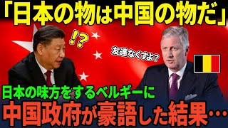 【海外の反応】「日本の味方だ！」と発言したベルギー国王に対し、中国が大激怒した結果…中国政府の末路がヤバすぎた [upl. by Ahsia]