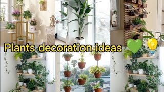 plant decor in living roomplants decoration ideasplants decoration ideas at homeplants decoration [upl. by Kcirreg896]